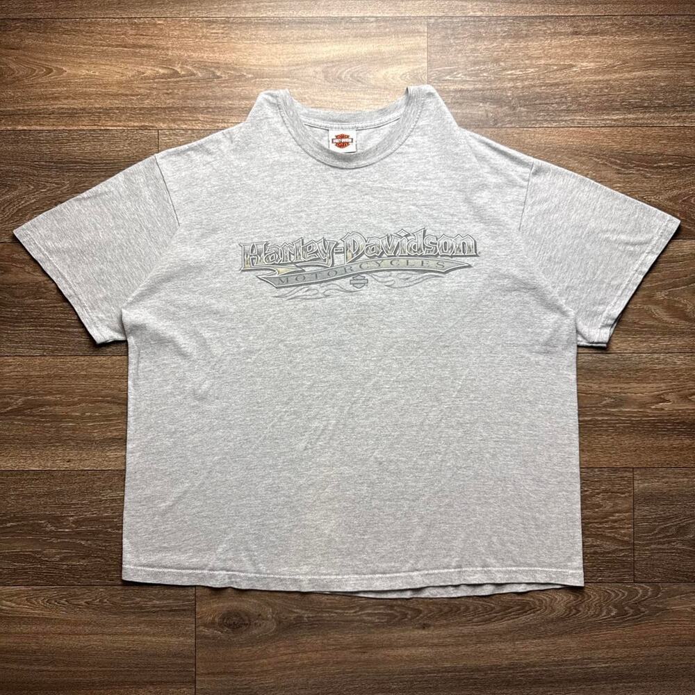 Y2K Harley Davidson Grey Tee with Logo & Flames